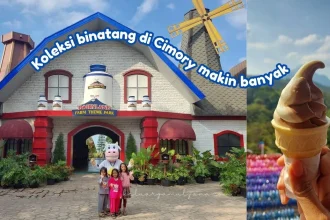 Cimory Prigen