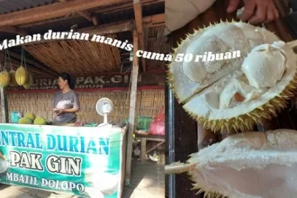 makan durian manis madiun
